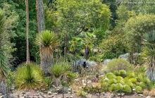 Dry Garden, Berkeley