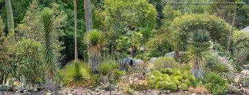 Dry Garden, Berkeley