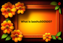 is laoshu500500 legit