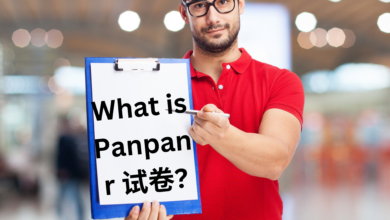 panpanr 试卷