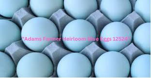 "Adams Farmer Heirloom Blue Eggs 12524"