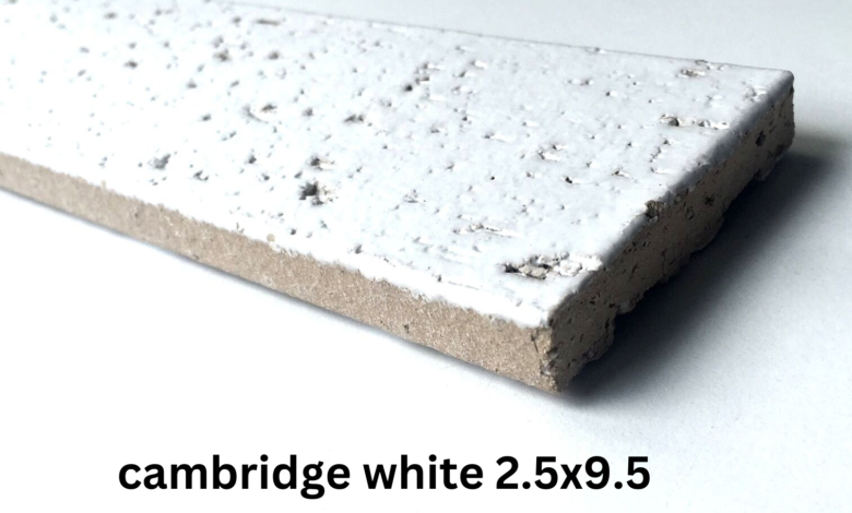 cambridge white 2.5x9.5 glazed brick tile