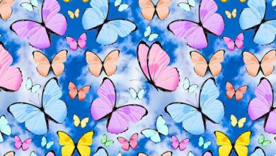 springtime butterfly fabric images